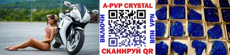 A PVP СК Пятигорск