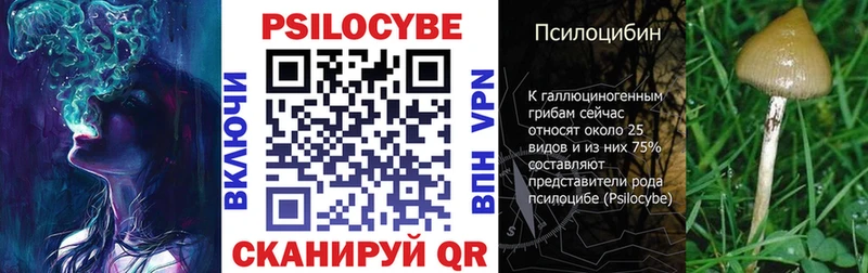 Псилоцибиновые грибы GOLDEN TEACHER  Пятигорск 
